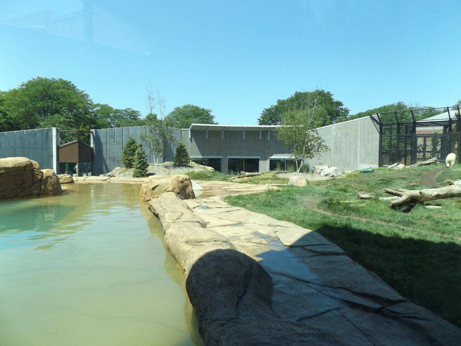 Arctic Passage- Polar Bear Exhibit