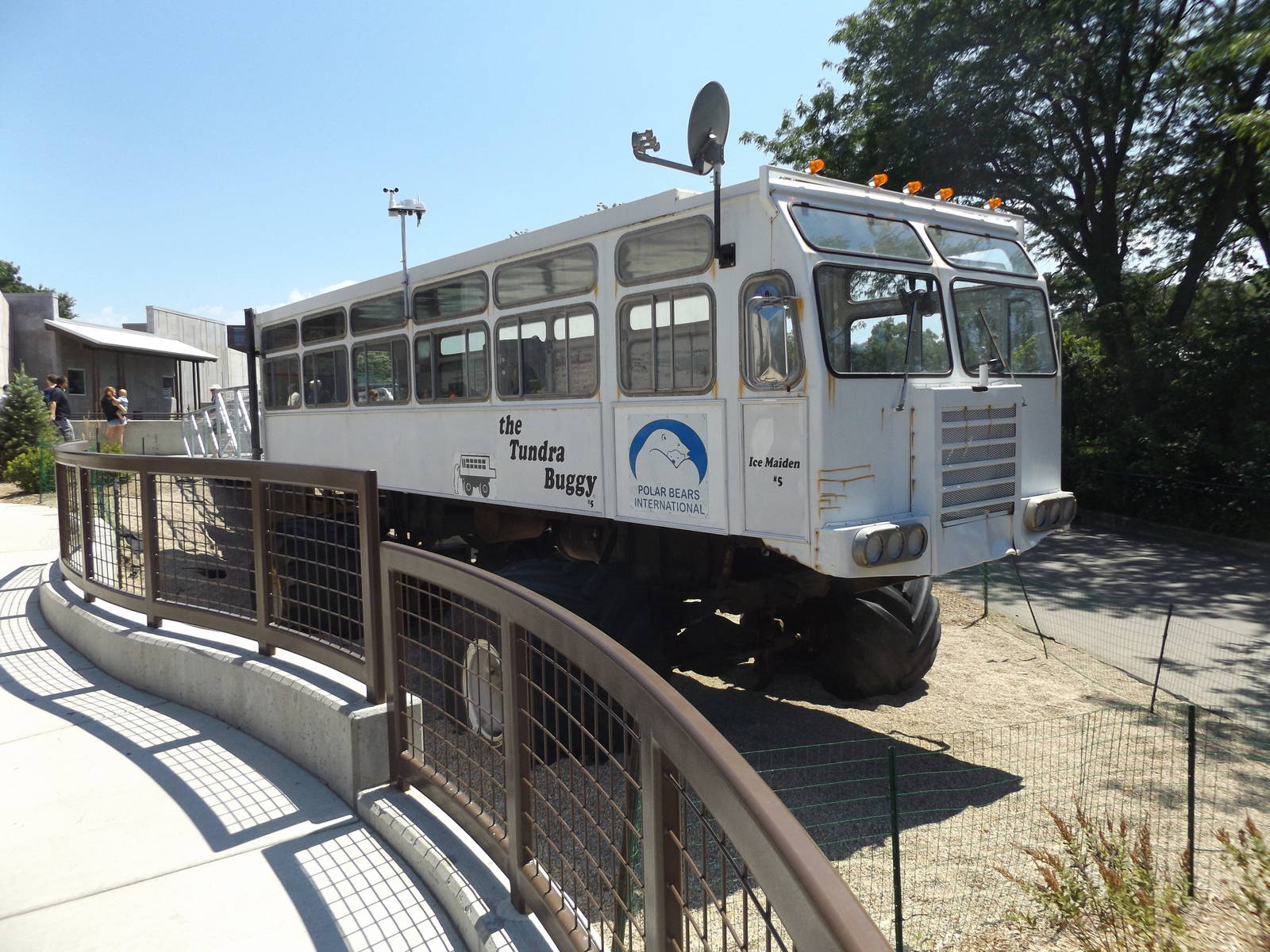Arctic Passage- The Tundra Buggy