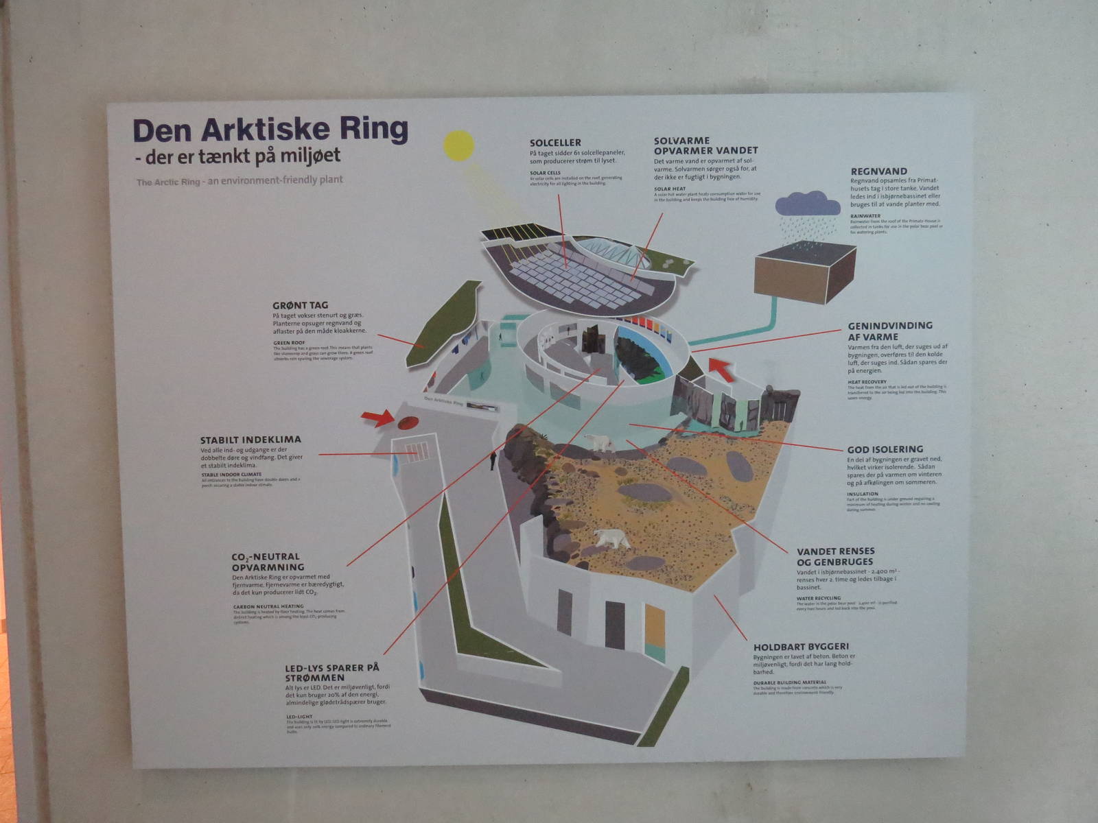 Arctic ring - A 'green' exhibit, June 2015.