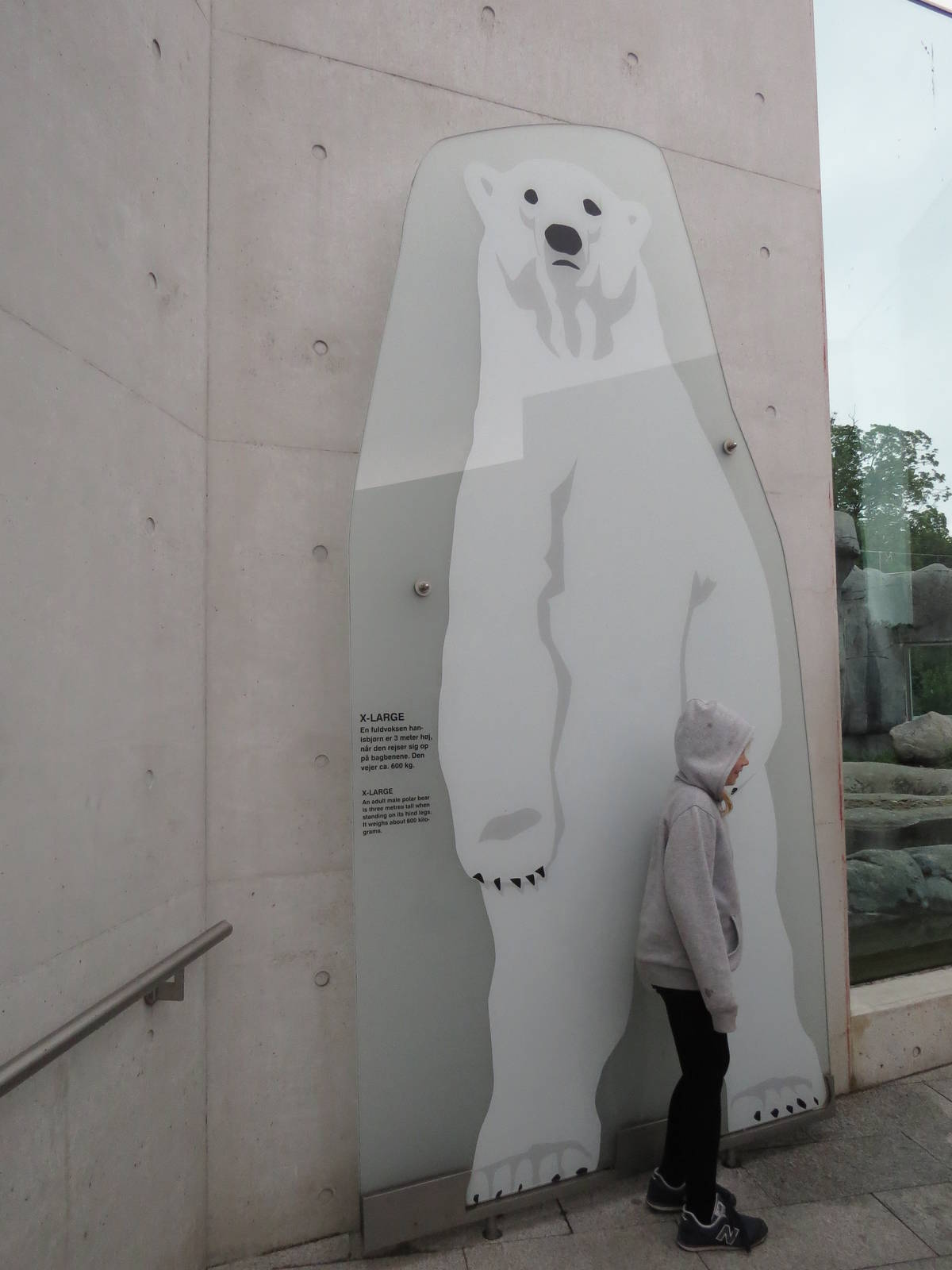 Arctic ring - biggest polar bear sign, June 2015.