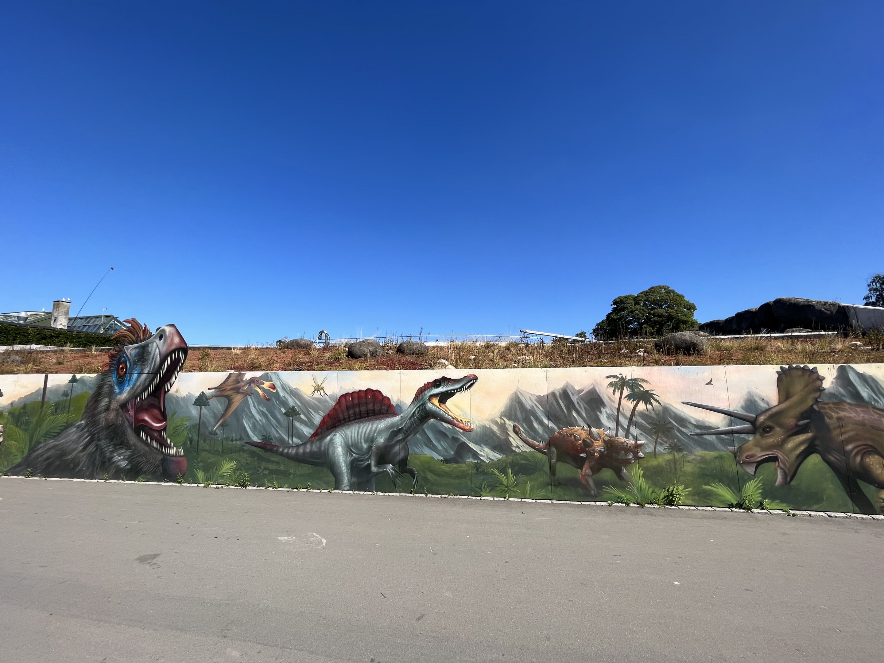 Arctic Ring - dinosaur signage