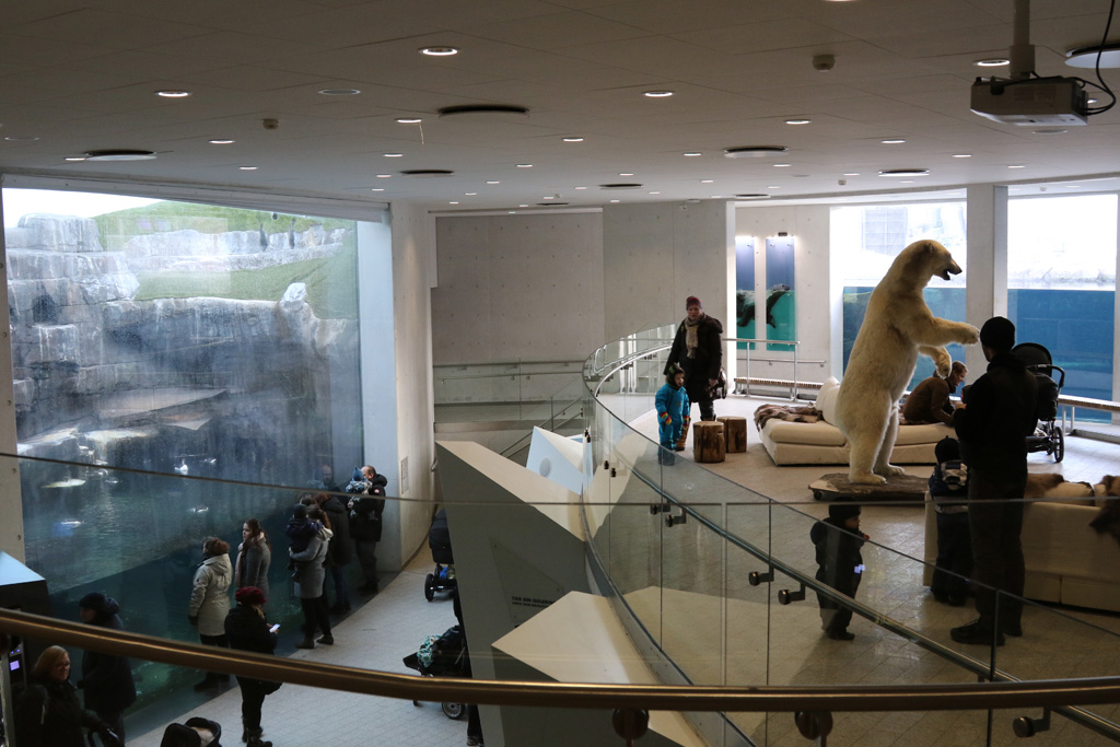 Arctic Ring interior at Zoo København 15/01/2017