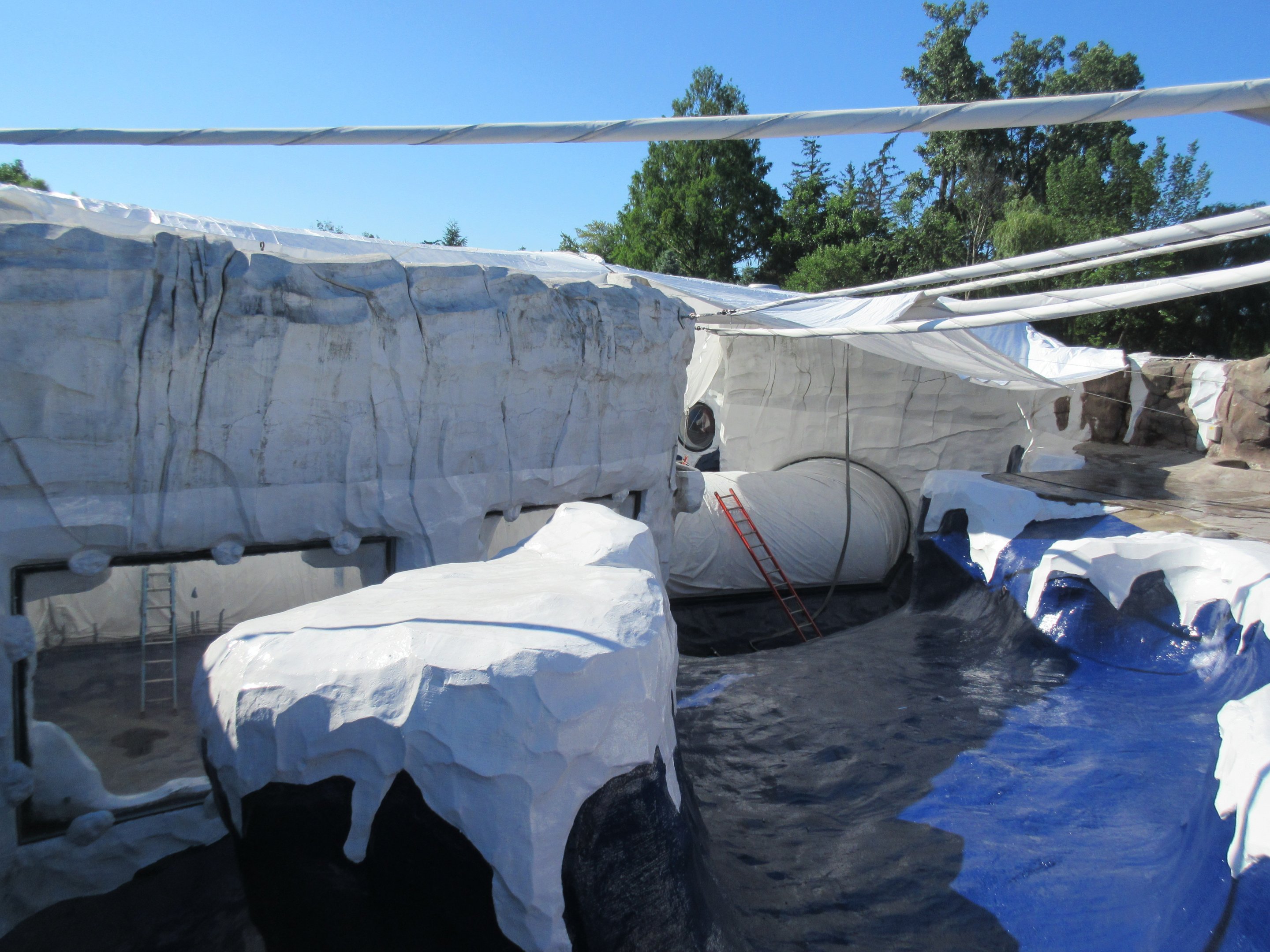 Arctic Ring of Life - Closed Tunnel + Seal Pool