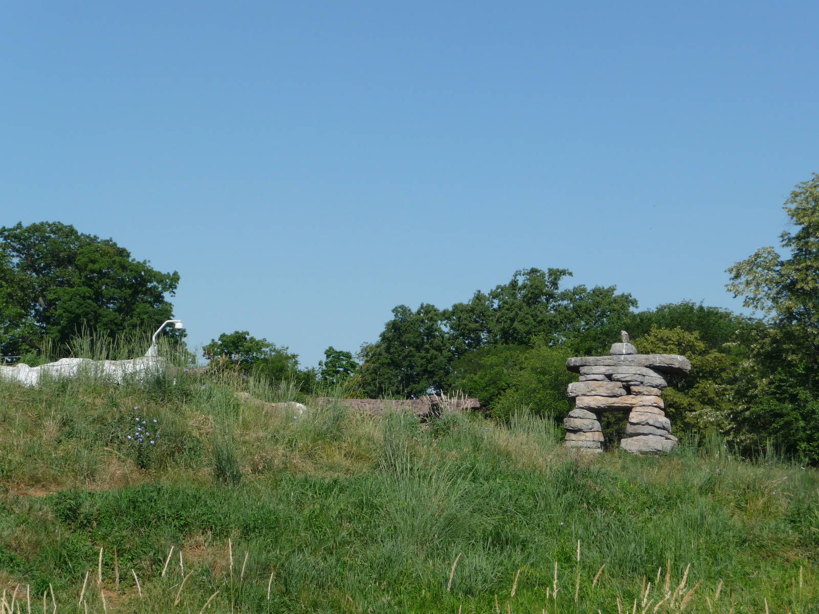 Arctic Ring of Life - Detroit Zoo