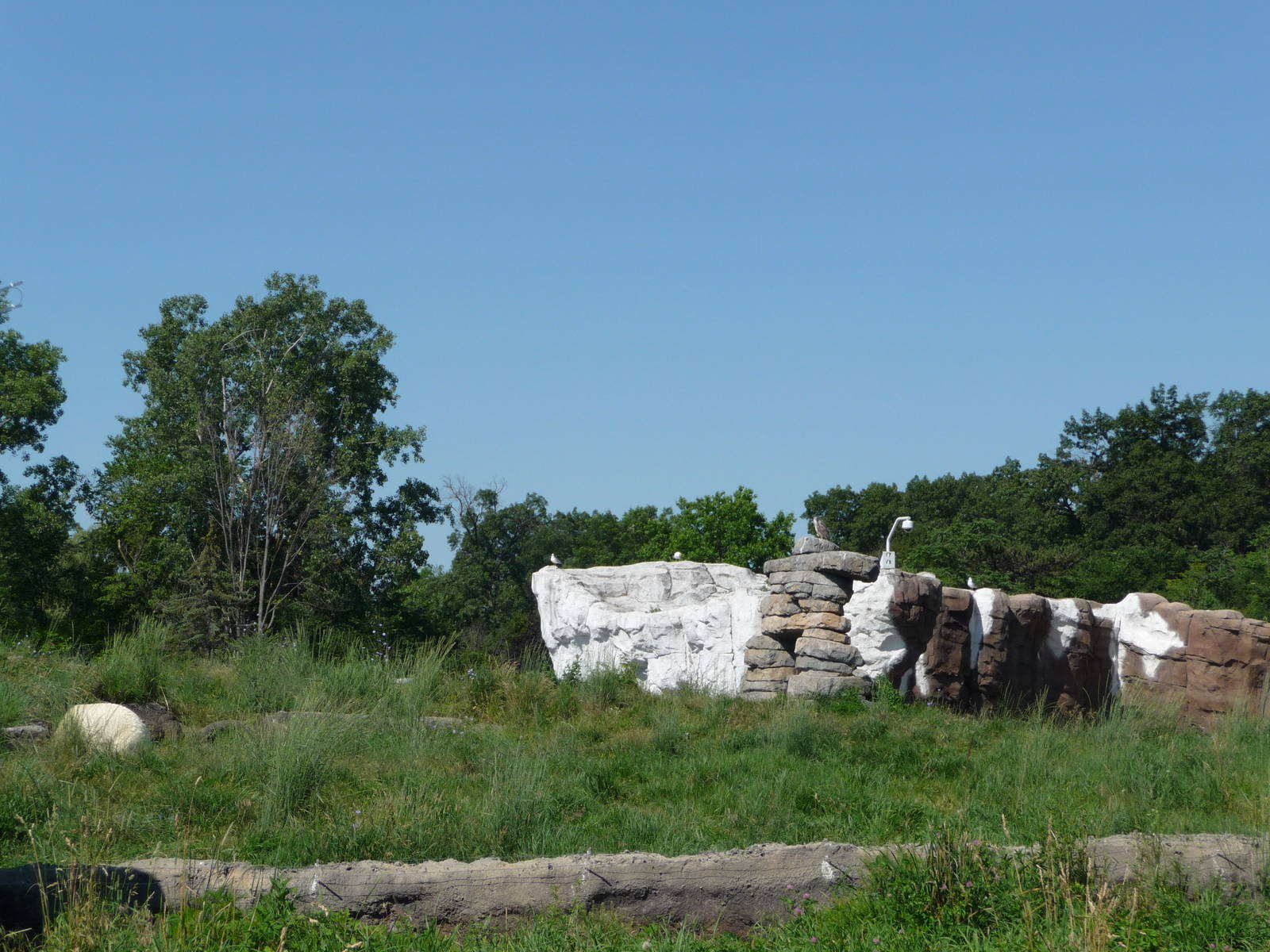 Arctic Ring of Life - Detroit Zoo