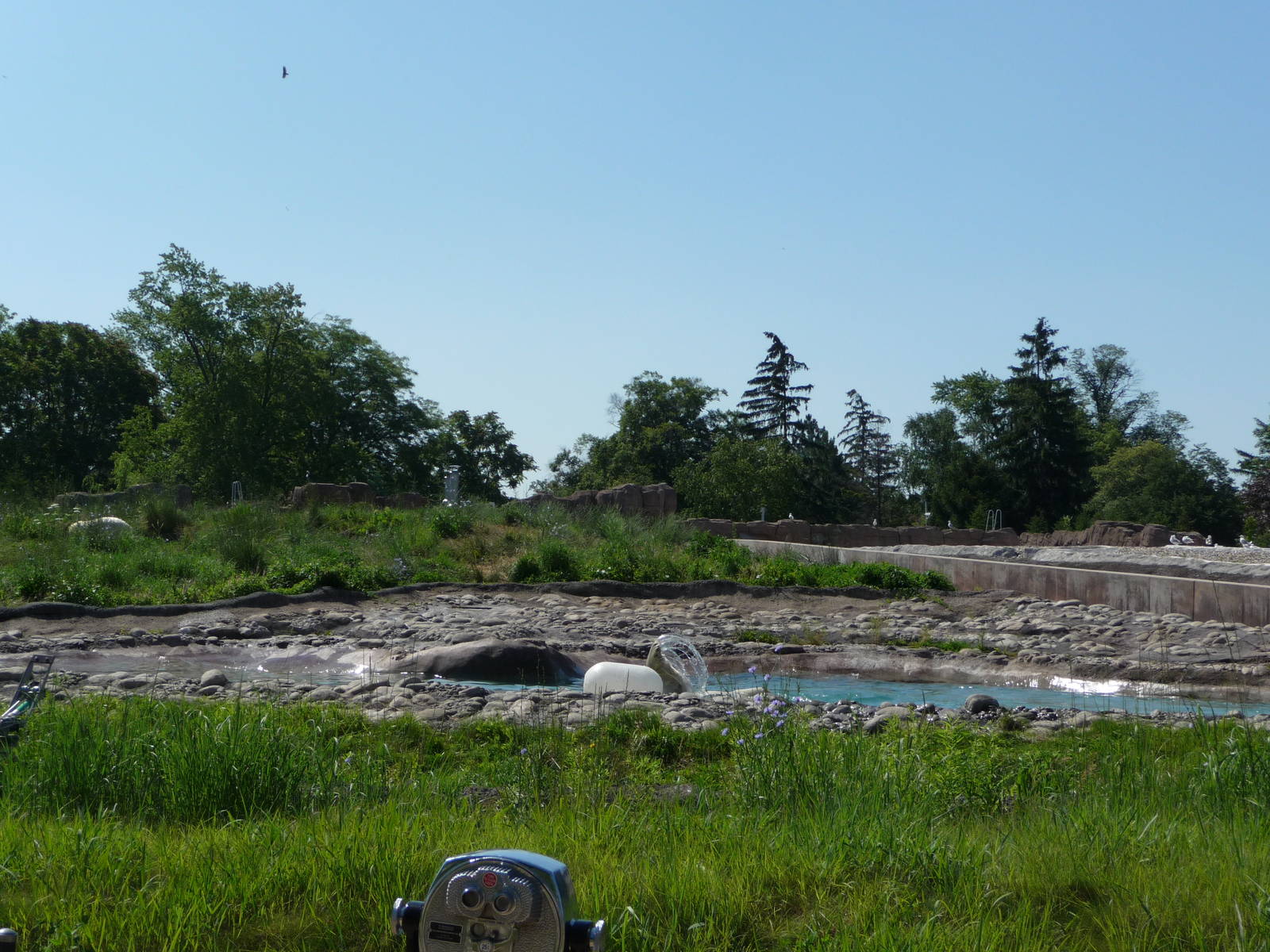 Arctic Ring of Life - Detroit Zoo