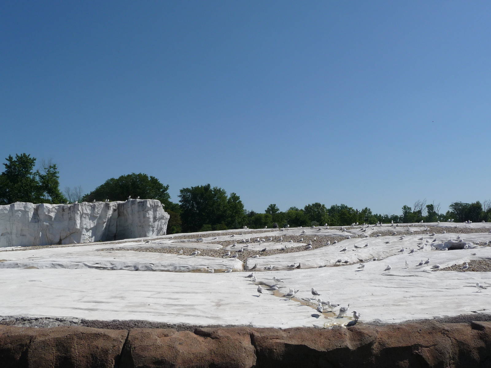 Arctic Ring of Life - Detroit Zoo