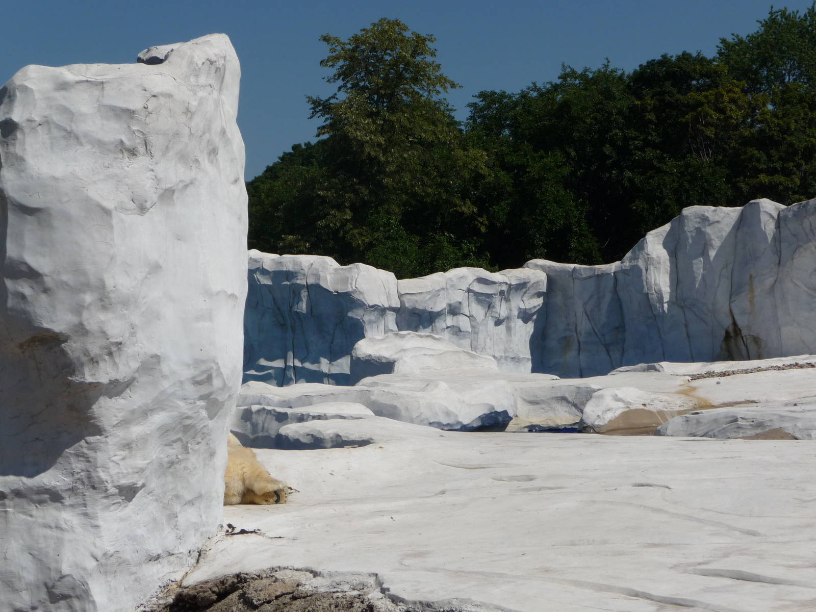 Arctic Ring of Life - Detroit Zoo
