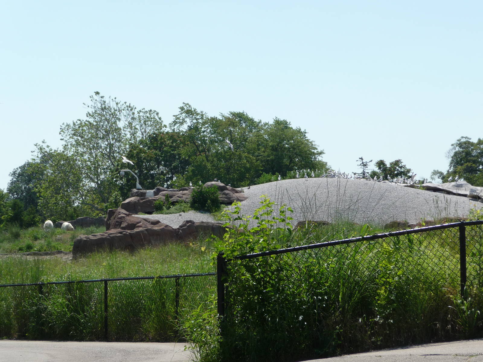 Arctic Ring of Life - Detroit Zoo