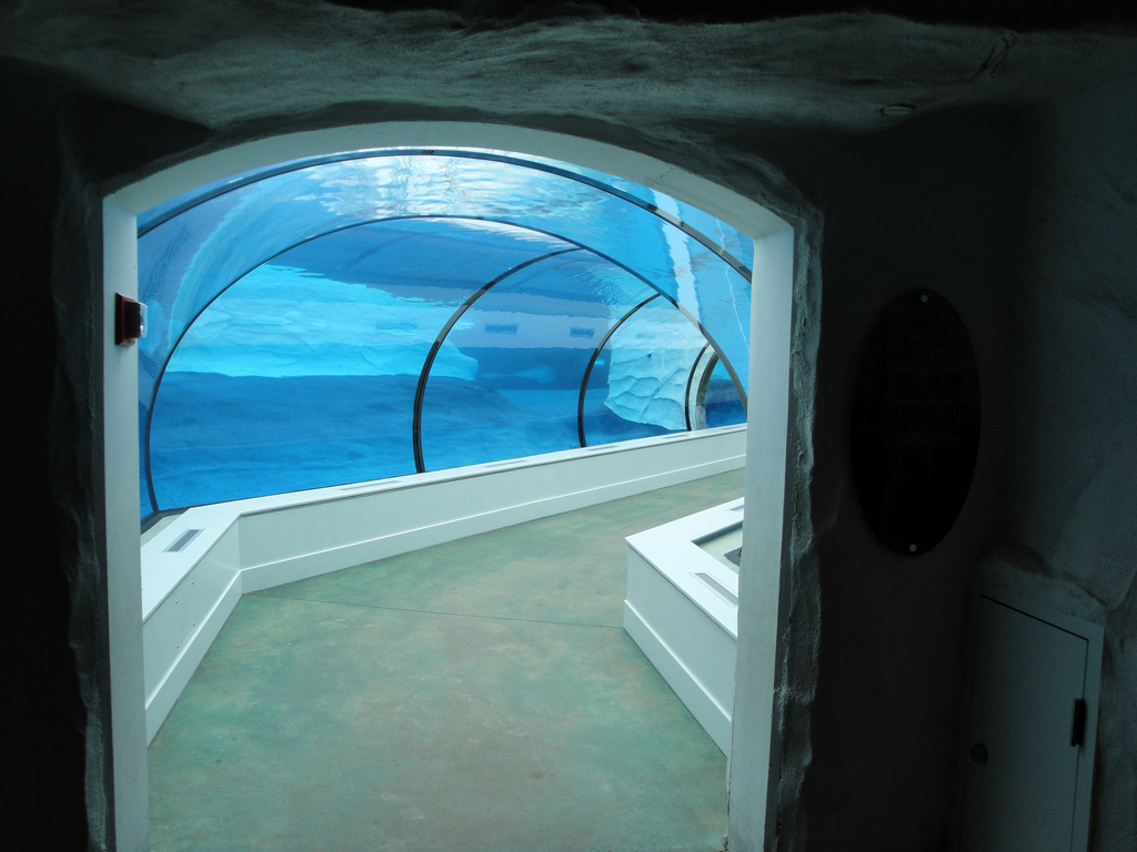 Arctic Ring of Life - Entrance to Tunnel