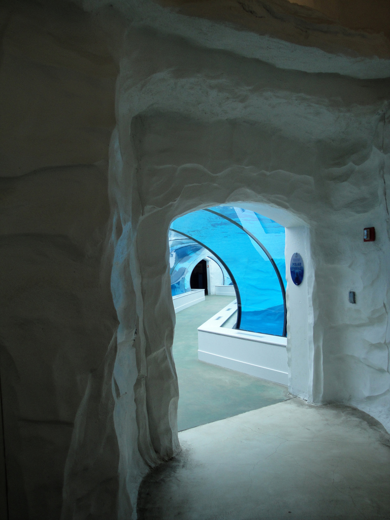 Arctic Ring of Life - Exit of Tunnel