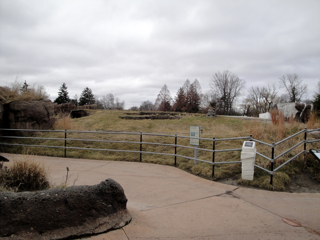 Arctic Ring of Life - First Polar Bear Exhibit