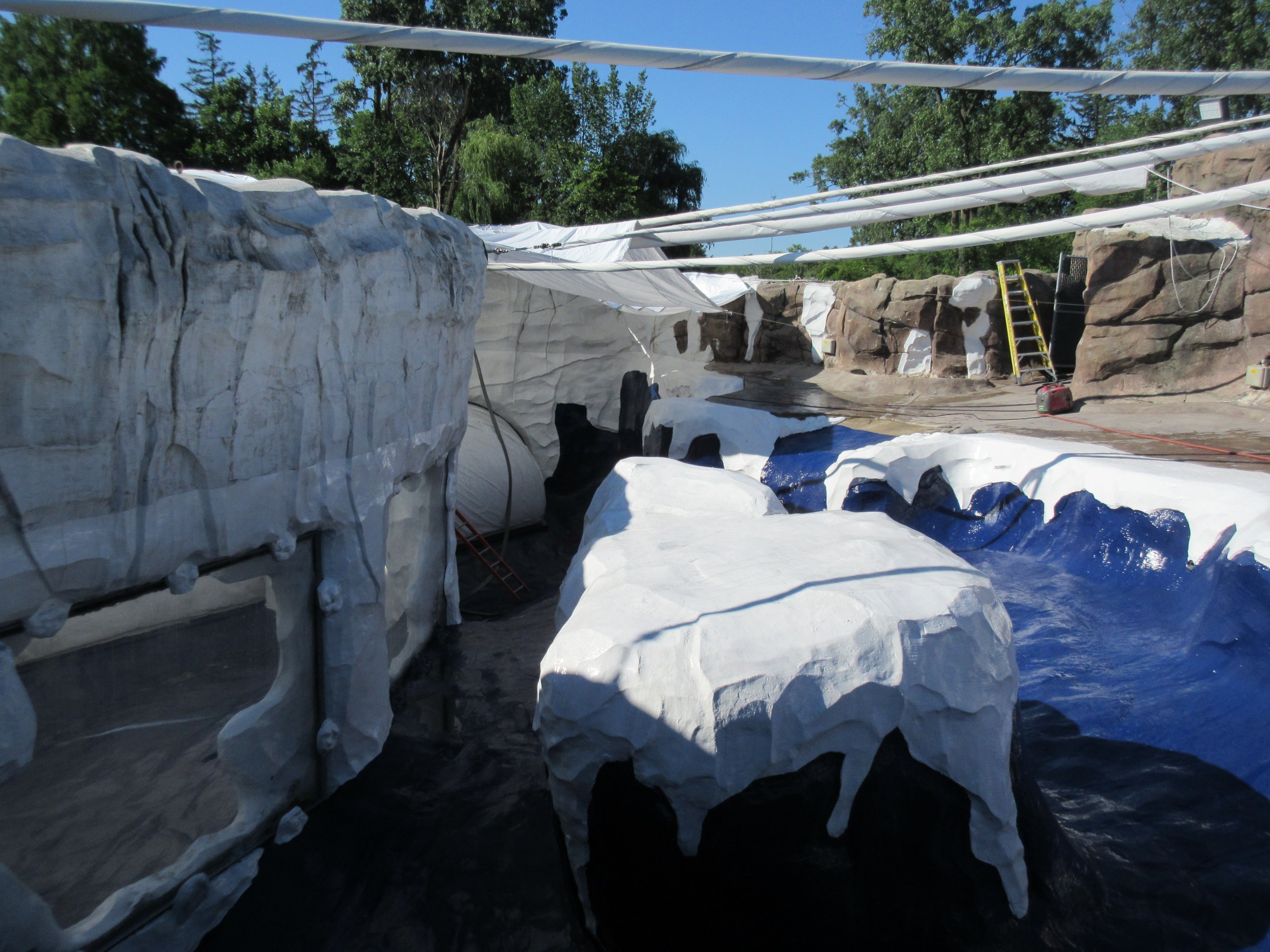 Arctic Ring of Life - Renovated Seal Pool