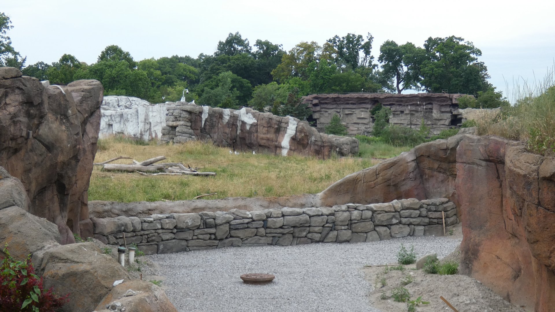 Arctic Ring of Life Renovations + Removal of Arctic Fox Exhibit - July 2022
