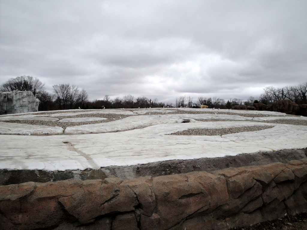 Arctic Ring of Life - Second Polar Bear Exhibit