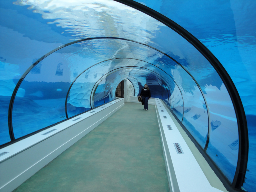 Arctic Ring of Life - Underwater Tunnel