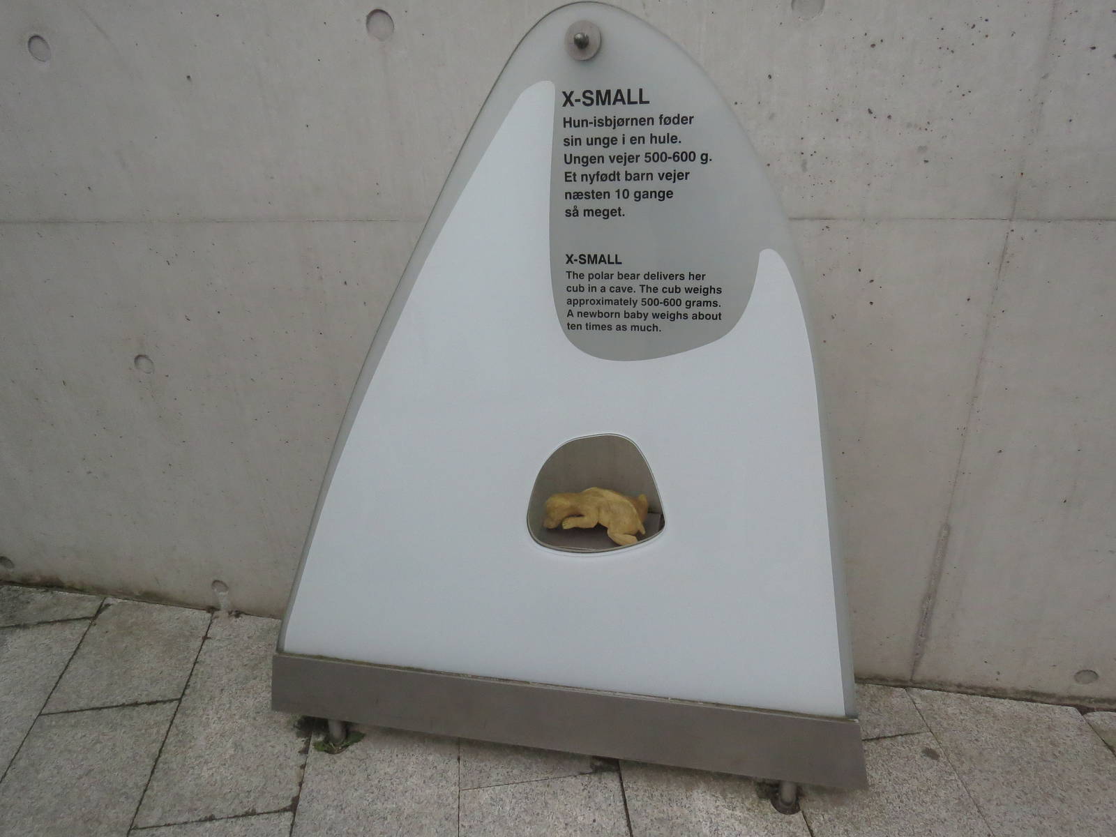 Arctic ring - smallest polar bear sign, June 2015.