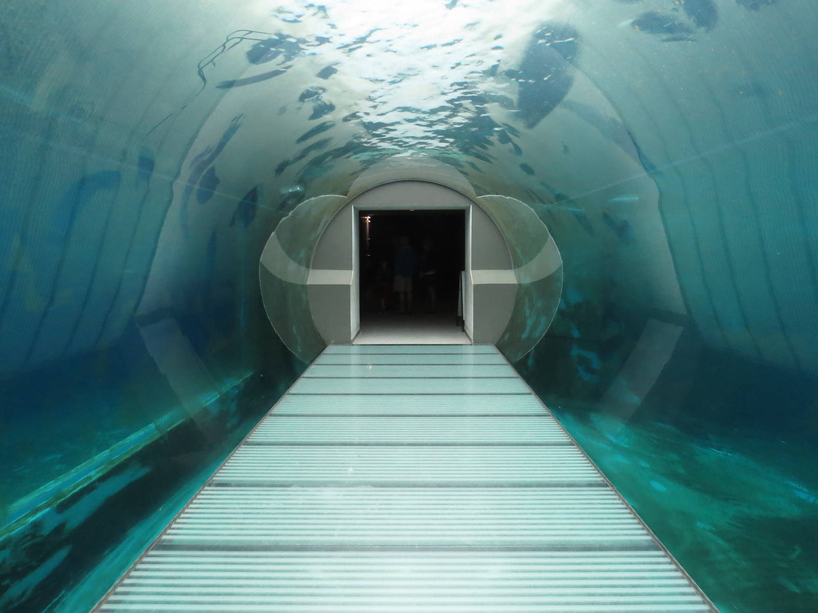 Arctic ring - Underwater tunnel, June 2015.