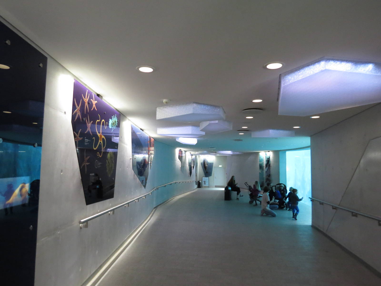 Arctic ring viewing area, June 2015.