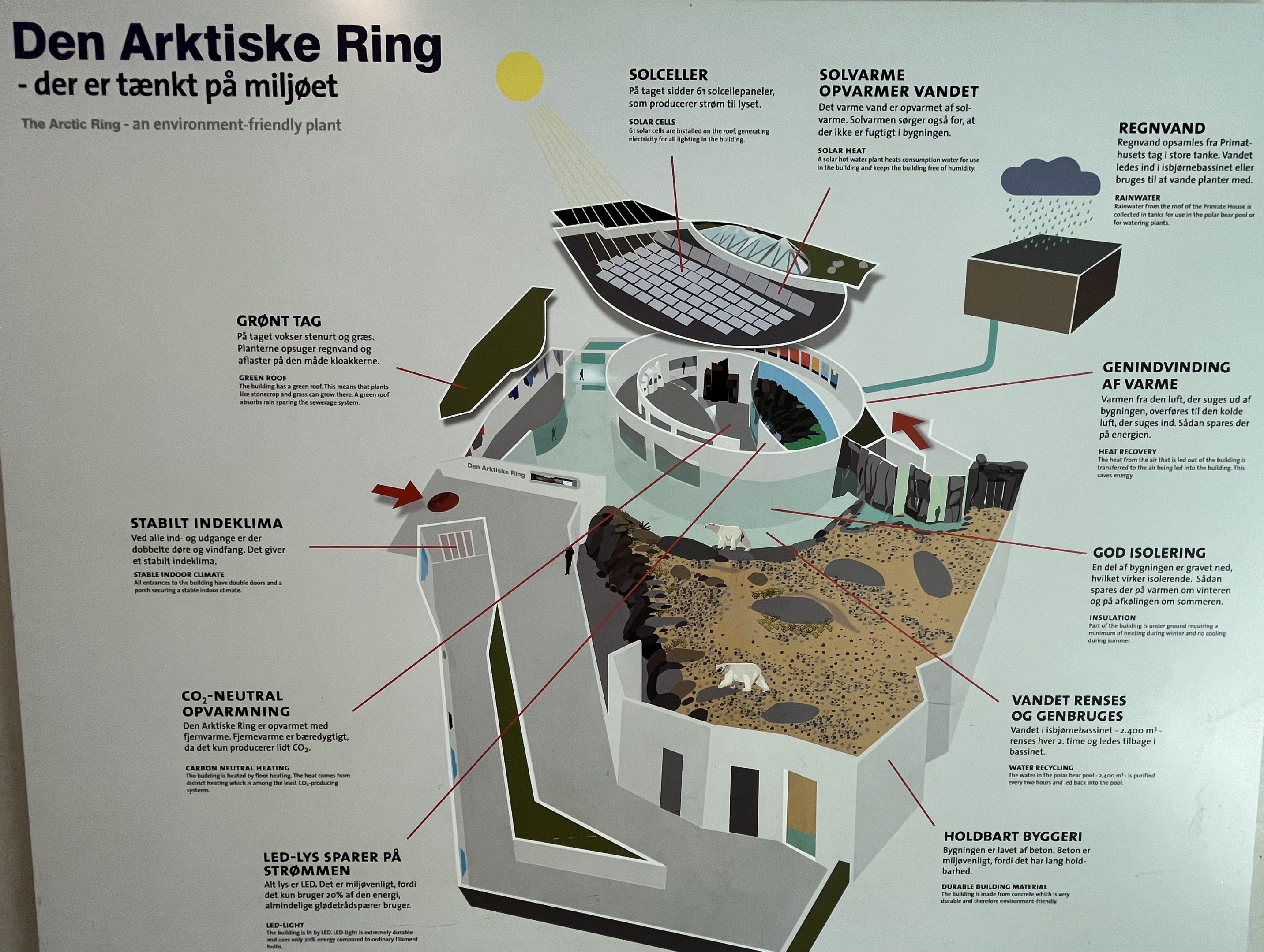 Arctic Ring