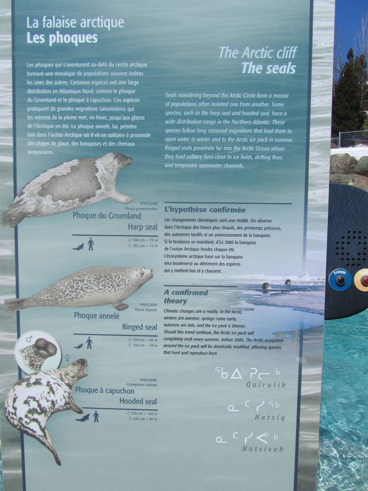 Arctic Seal Information Sign