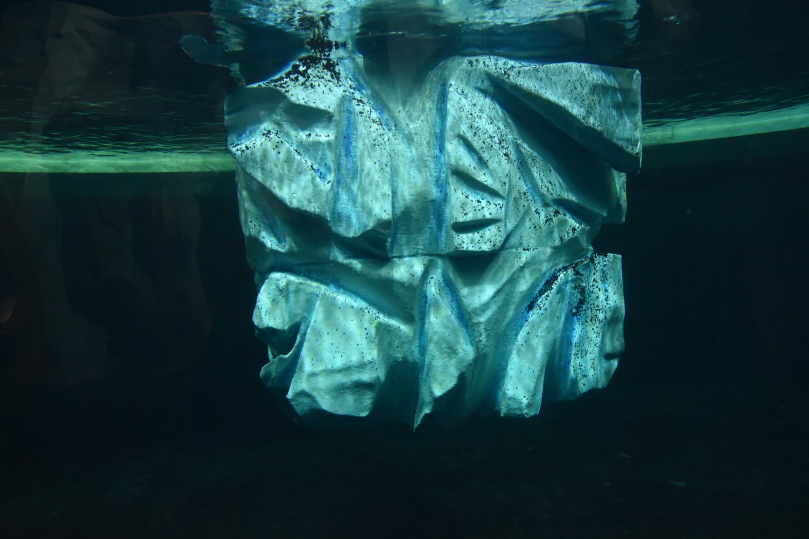 Arctic seal underwater view