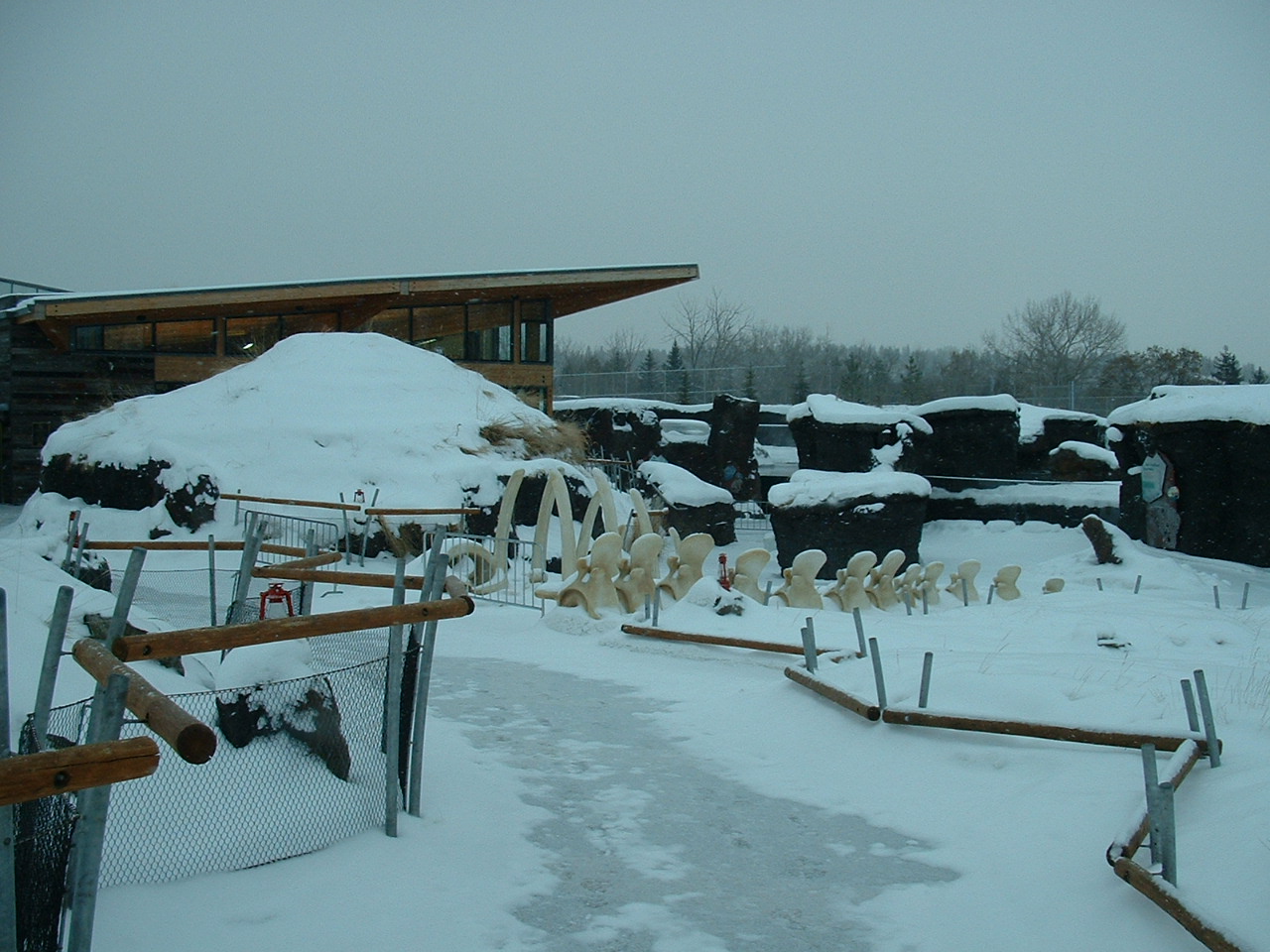 Arctic Shires - Nov 2012