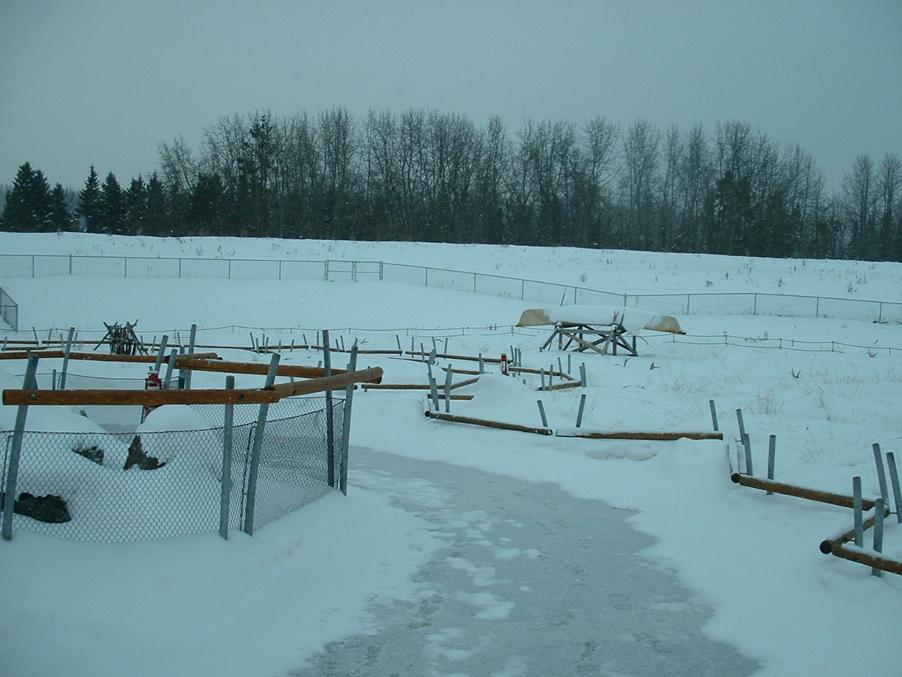 Arctic Shores - Nov 2012