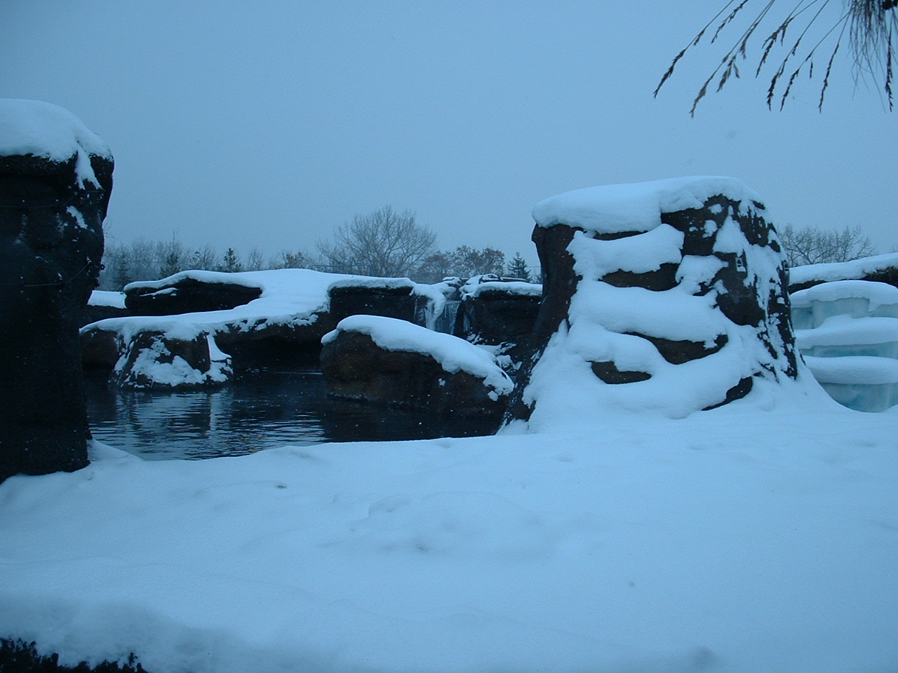 Arctic Shores - Nov 2012