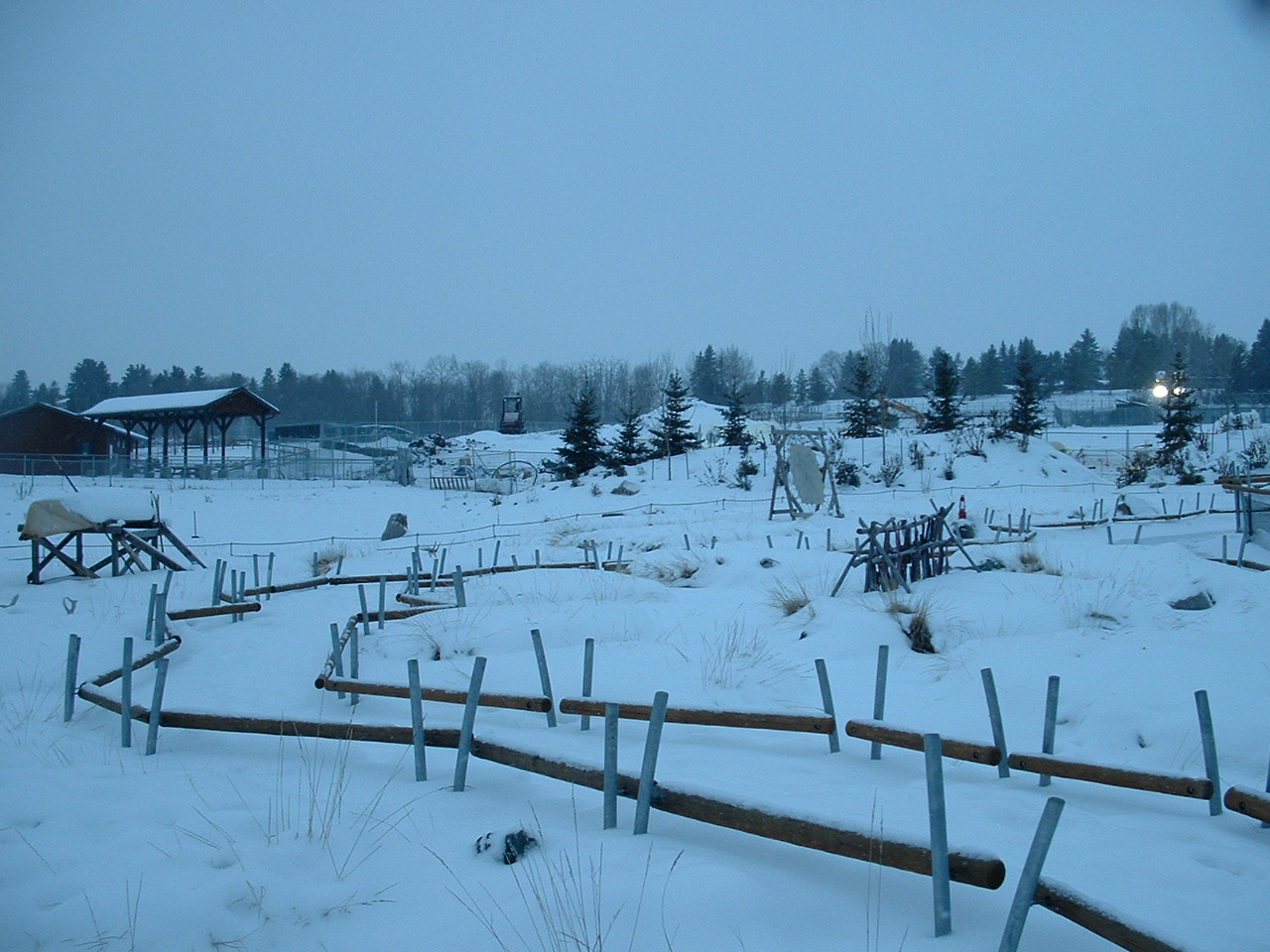 Arctic Shores - Nov 2012