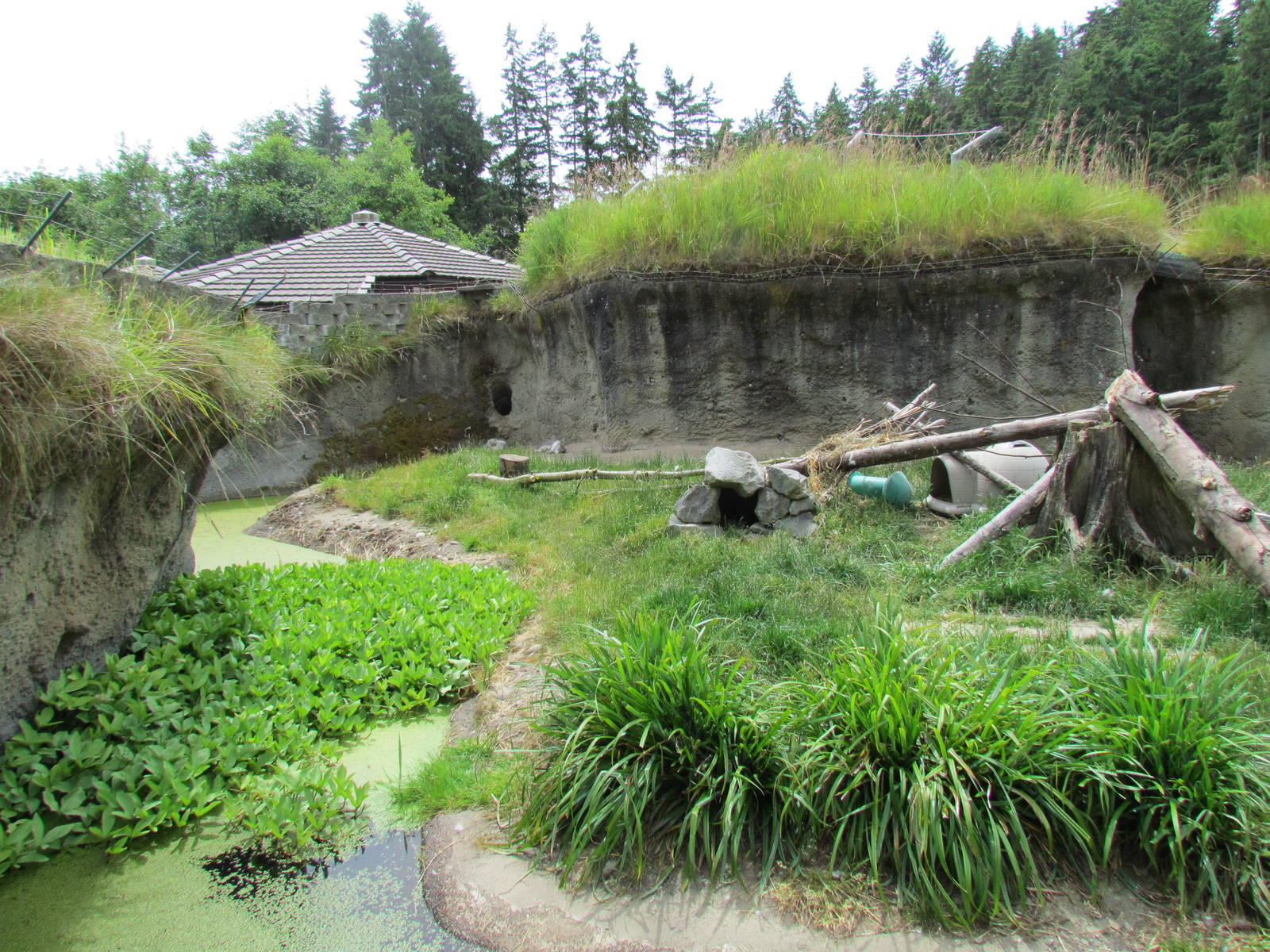 Arctic Tundra - Arctic Fox Exhibit