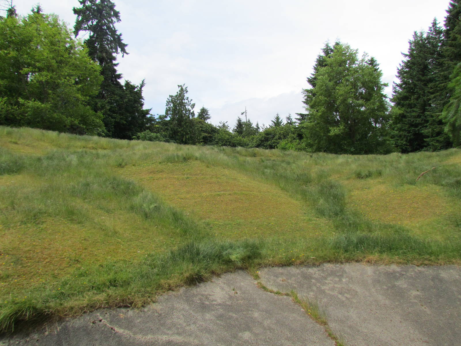 Arctic Tundra - (empty) Reindeer Exhibit
