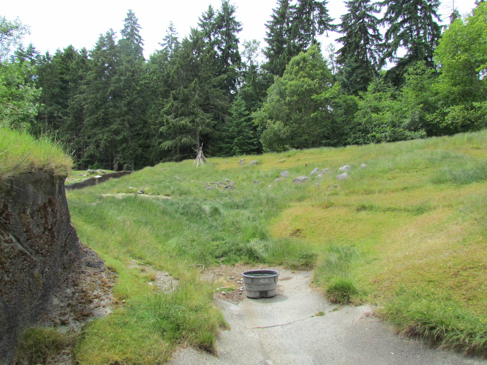 Arctic Tundra - (empty) Reindeer Exhibit