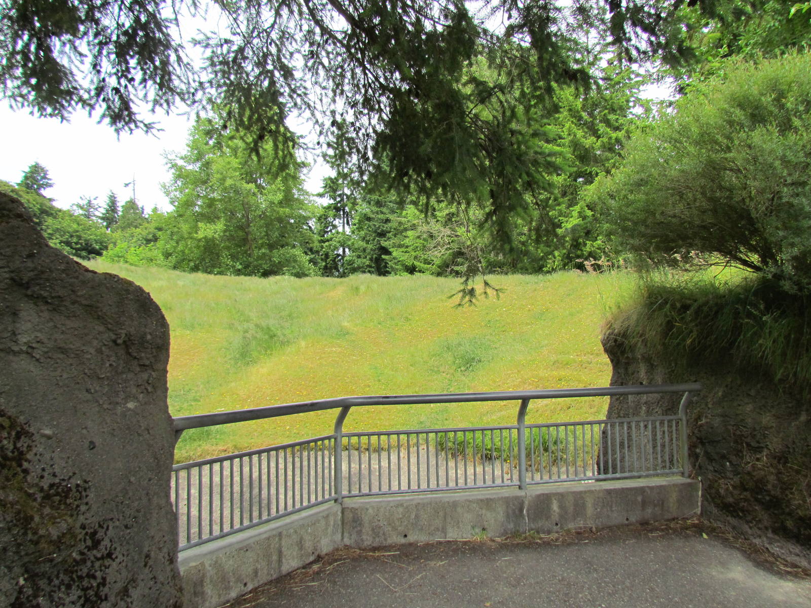 Arctic Tundra - Musk Ox Exhibit