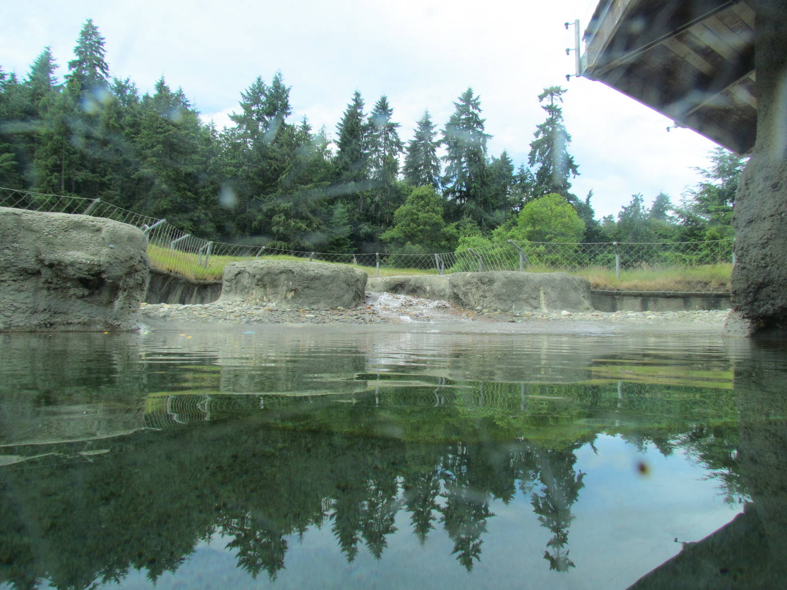 Arctic Tundra - Polar Bear Exhibit