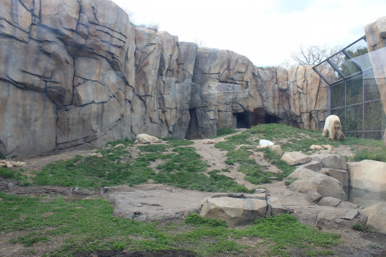 Arctic Tundra - Polar Bear Exhibit