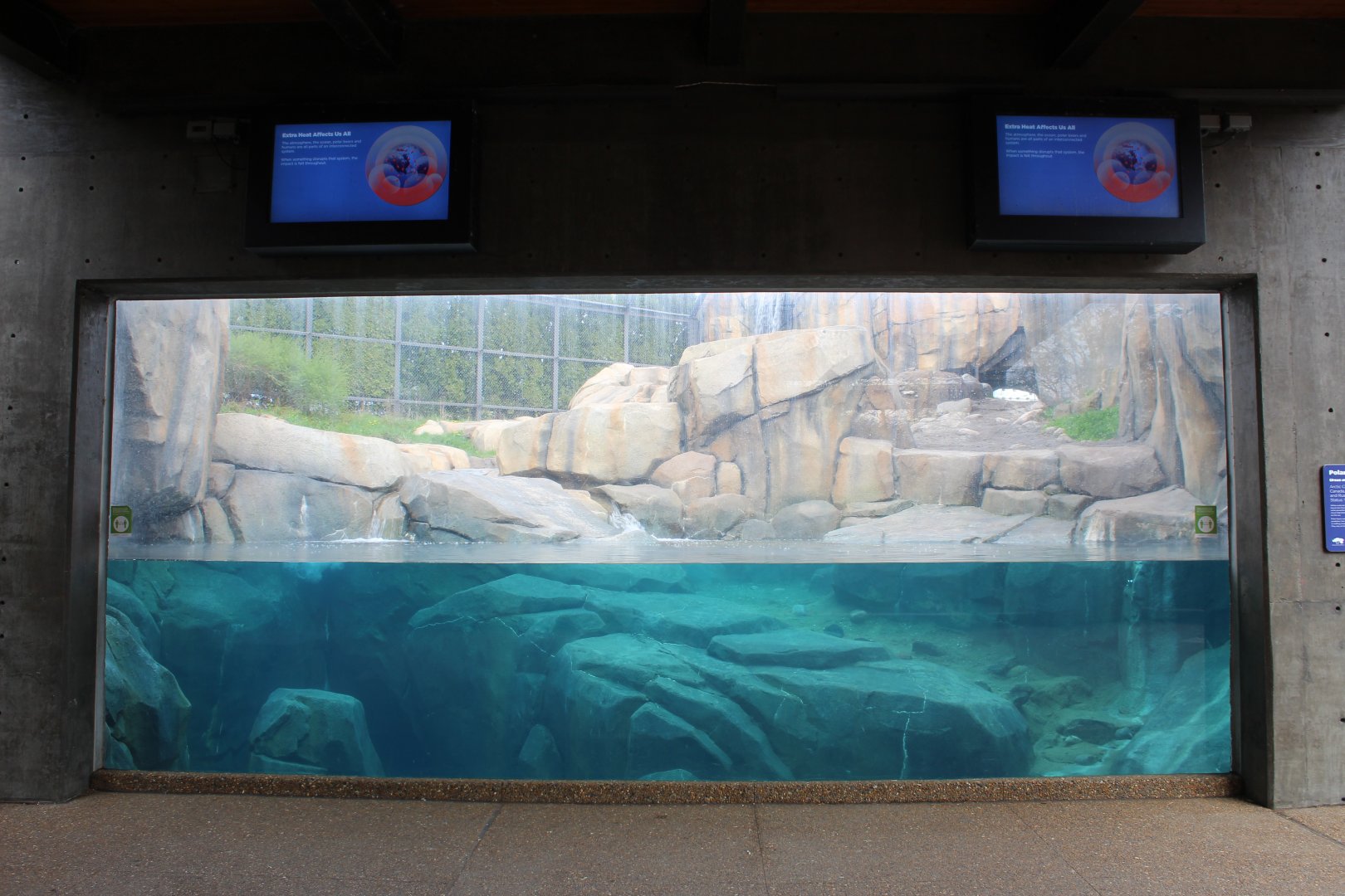 Arctic Tundra - Polar Bear Underwater Viewing