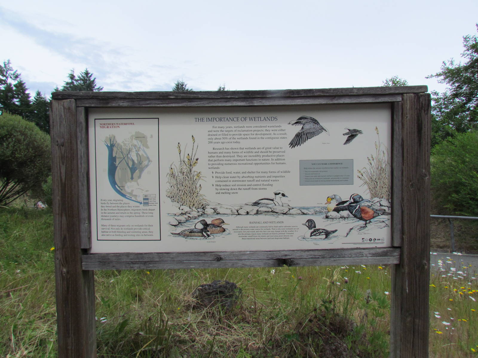 Arctic Tundra - Signage