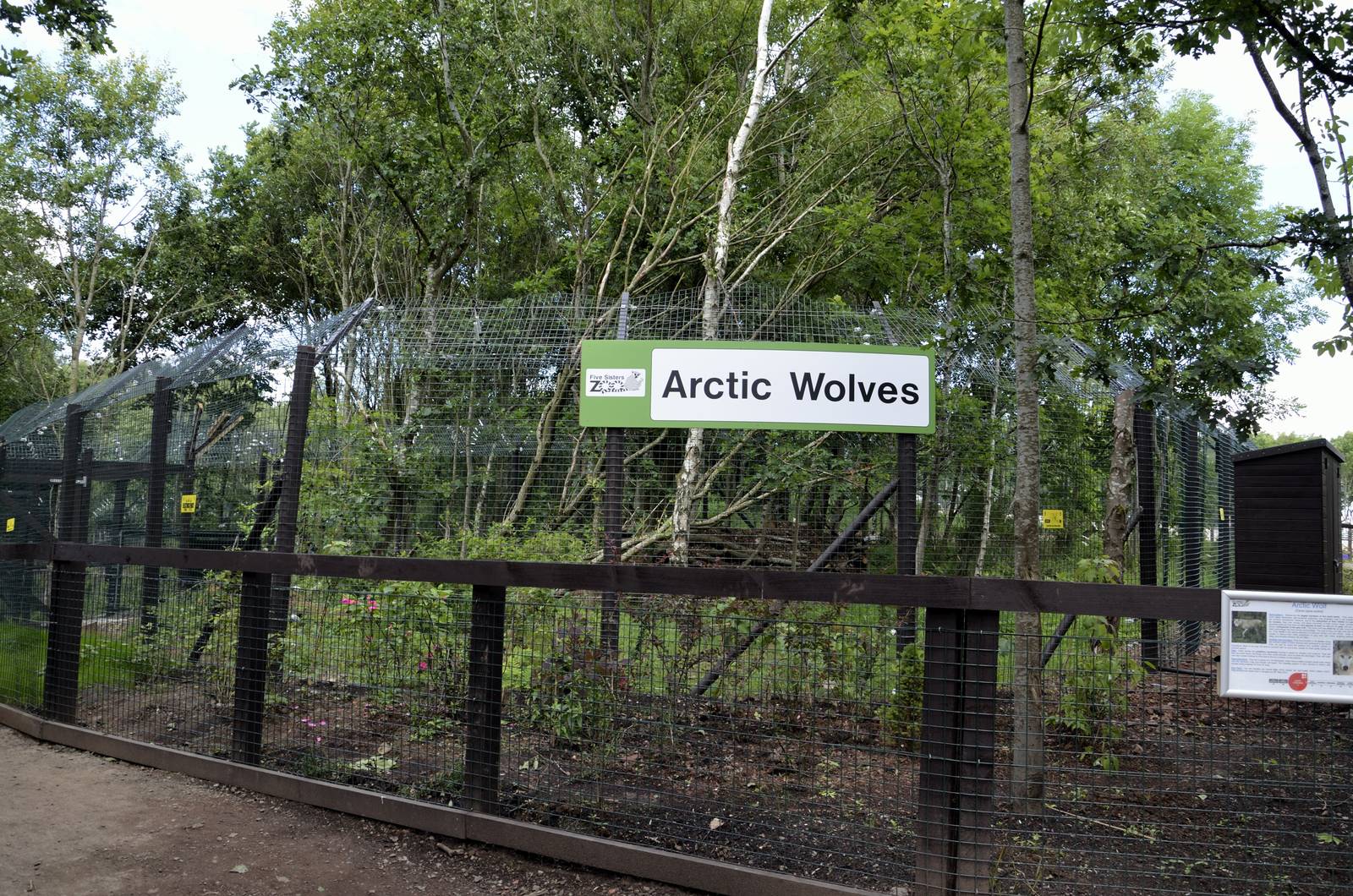 Arctic Wolf enclosure-06/07/2014