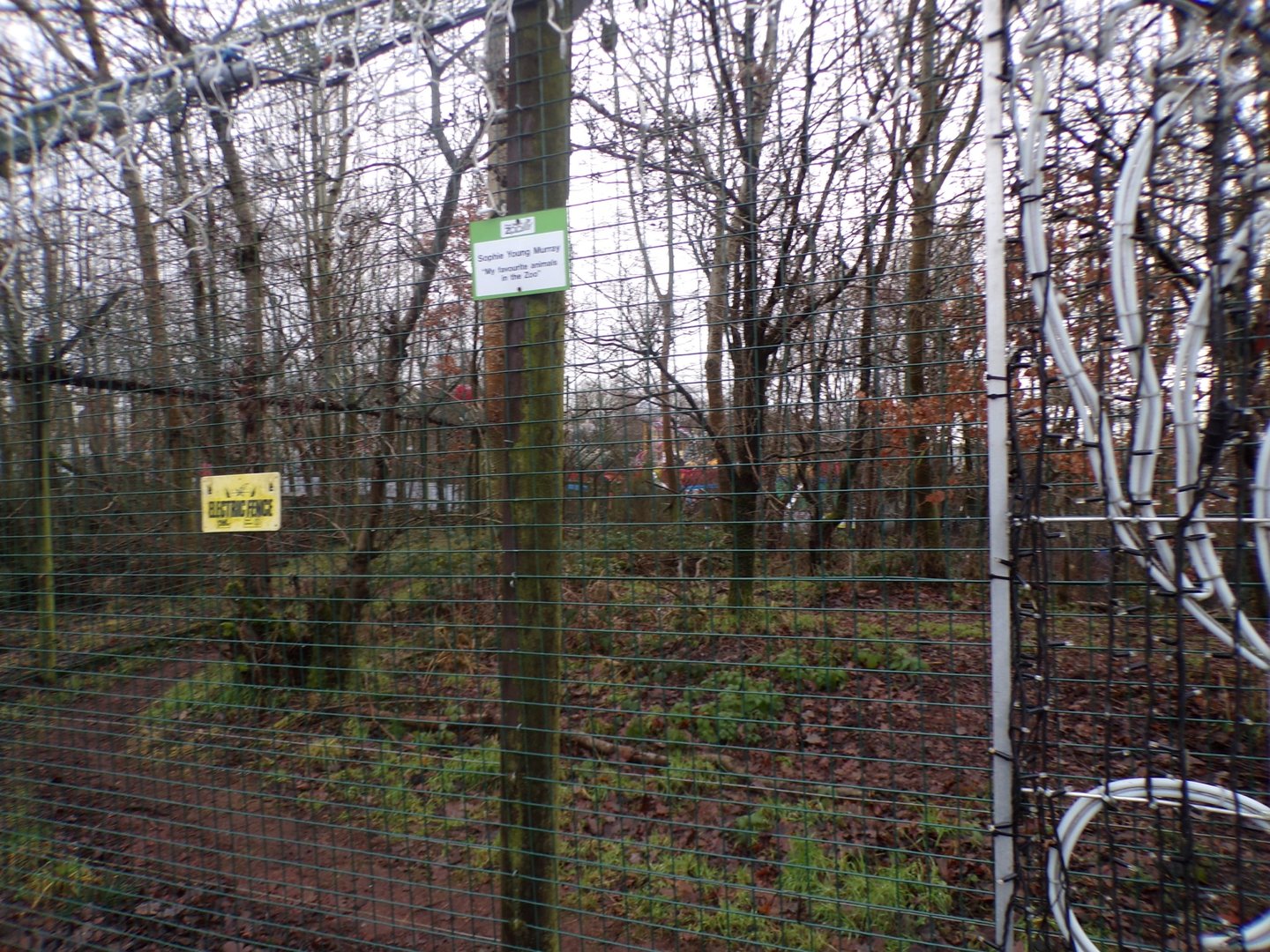 Arctic wolf enclosure 1.1.23