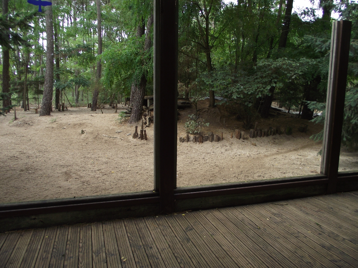 Arctic Wolf Enclosure #1