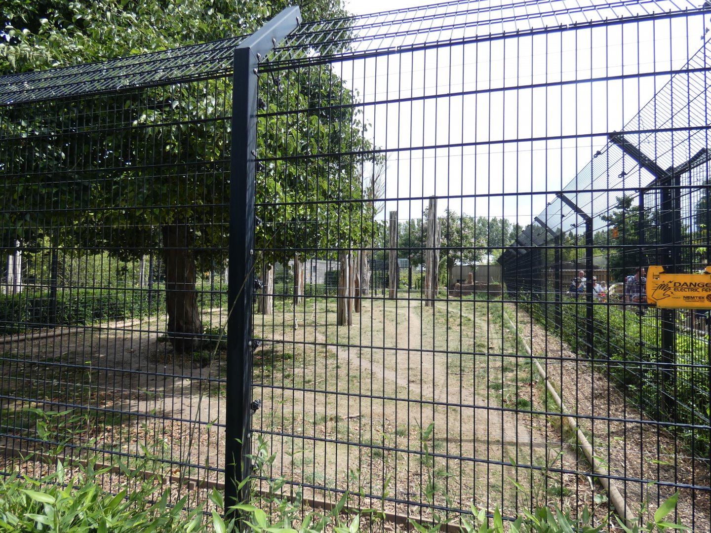 'Arctic' Wolf enclosure (2)