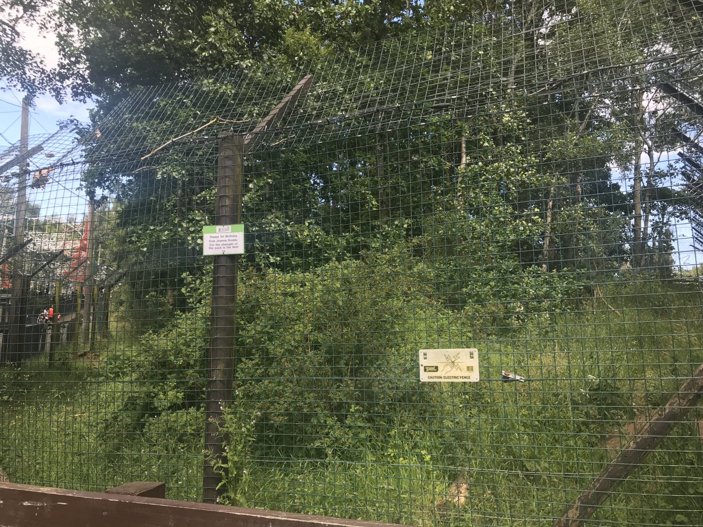 Arctic wolf enclosure (2)