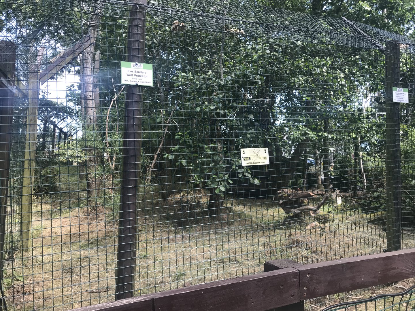 Arctic wolf enclosure (3)