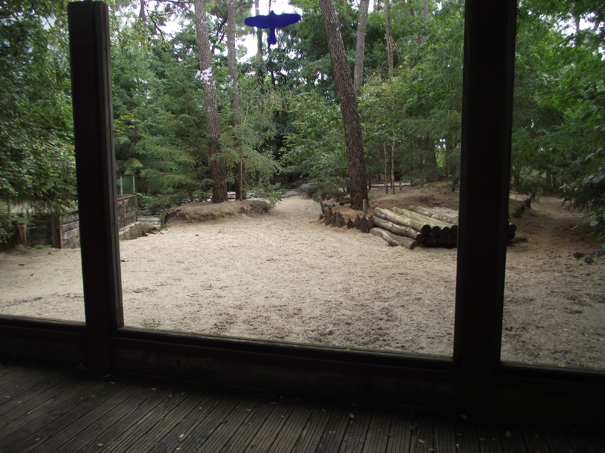 Arctic Wolf Enclosure #5