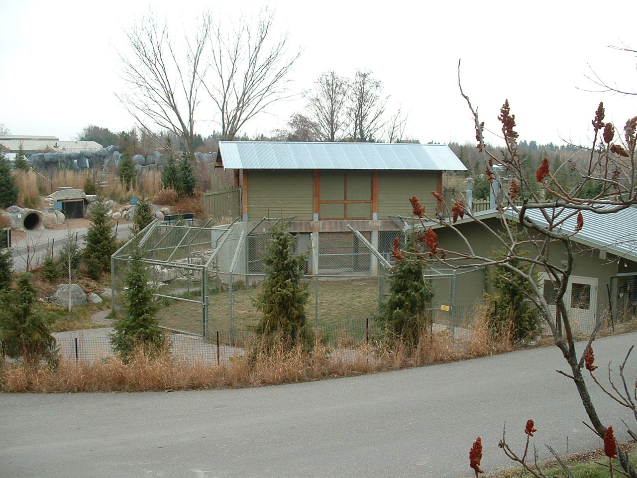 Arctic Wolf Enclosure and House, Tundra Trek - Dec 2012