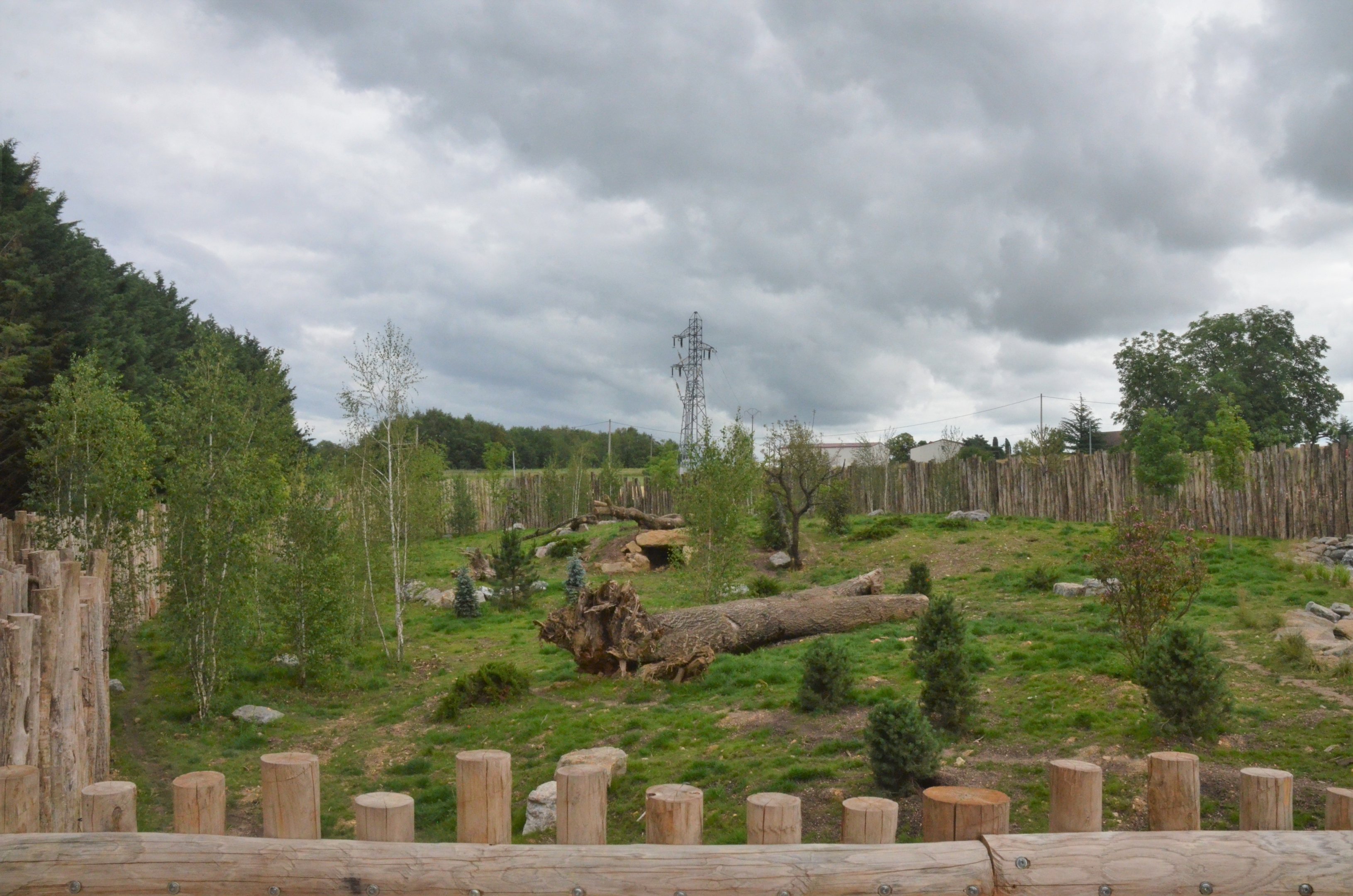 'Arctic' Wolf Enclosure at Beauval, 12/06/18