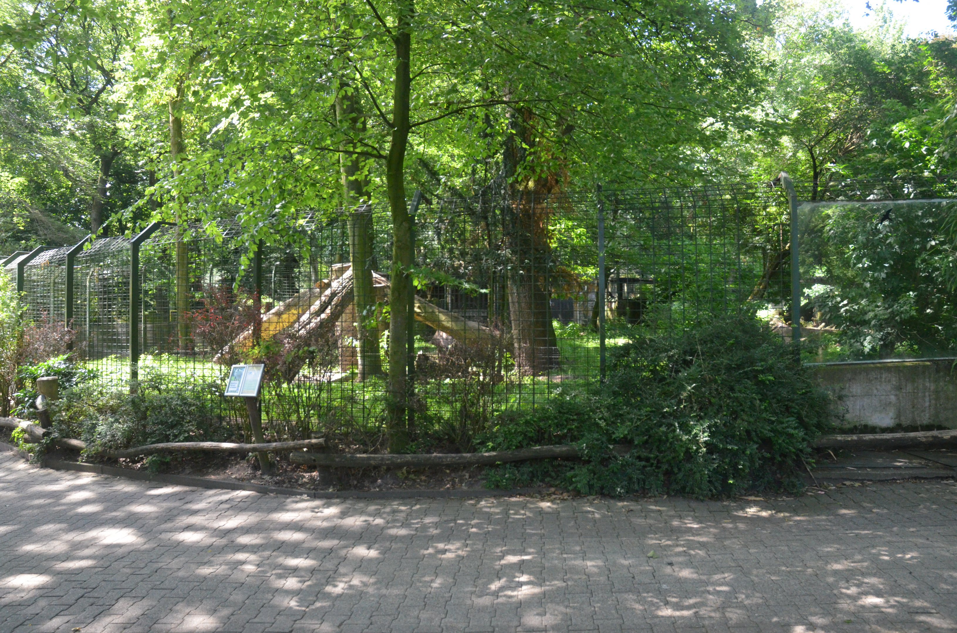 'Arctic' Wolf Enclosure at Duisburg, 17/06/19