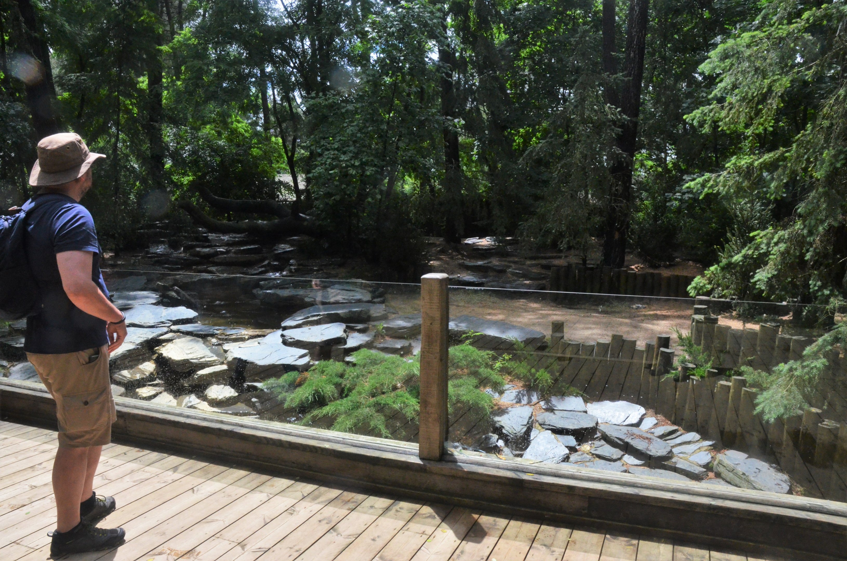 Arctic Wolf Enclosure at La Flèche, 11/06/18