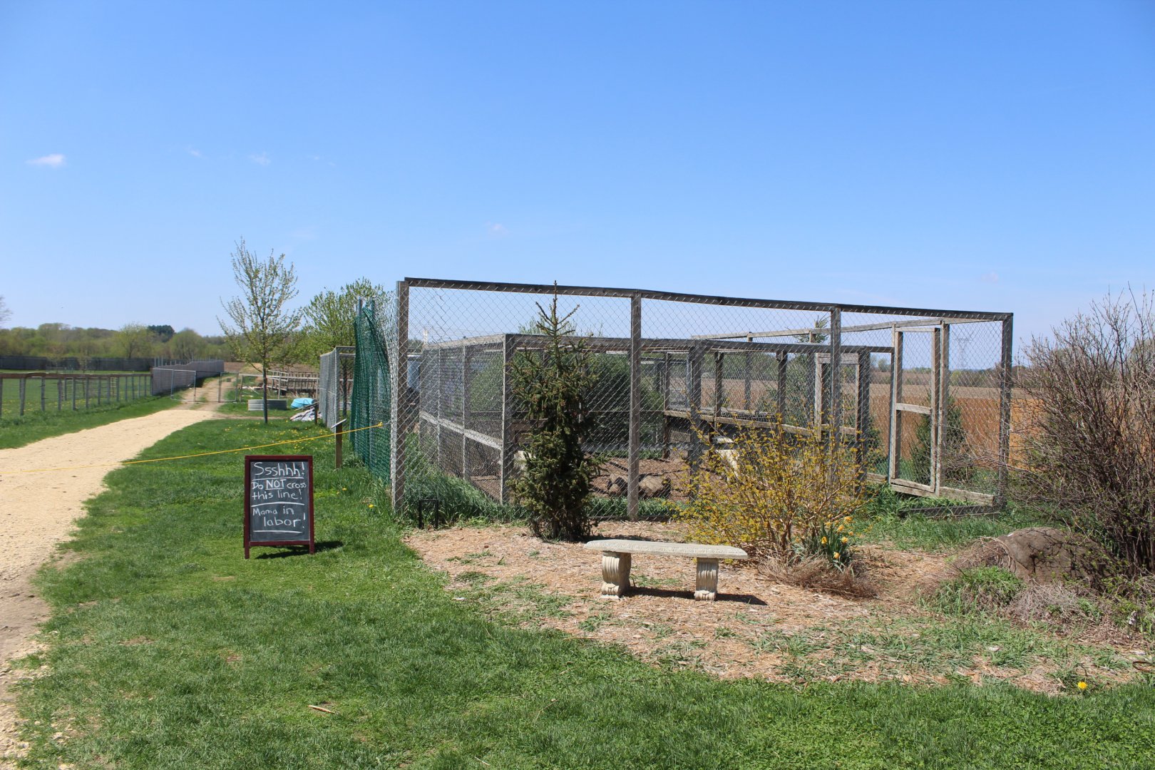 Arctic Wolf Enclosure